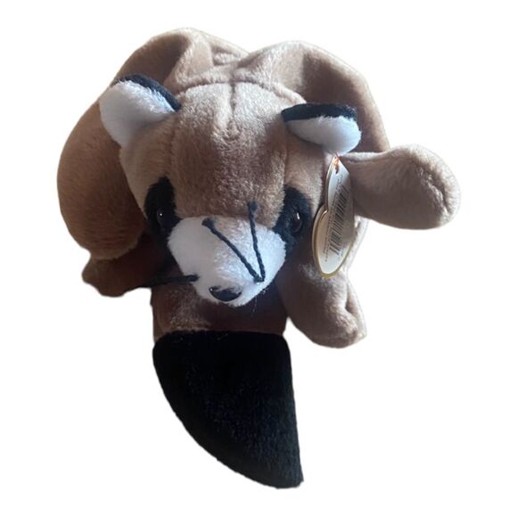 TY Beanie Baby Ringo the Raccoon - Picture 2 of 5